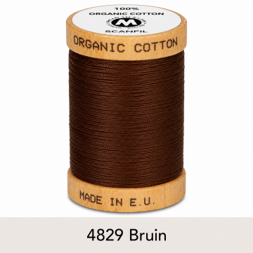 4829 bruin