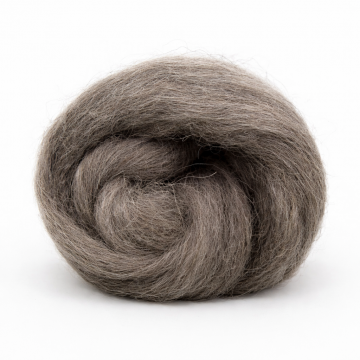 Donker grijze Ijslandse lontwol