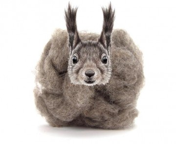 Gekleurde kaardvlies Squirrel/Eekhoorn