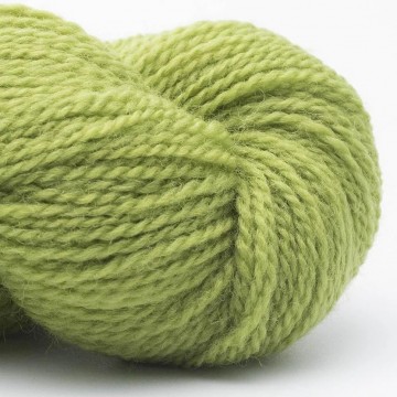 British Blue Wool grasgroen Bluefaced Leicester garen 50 gram