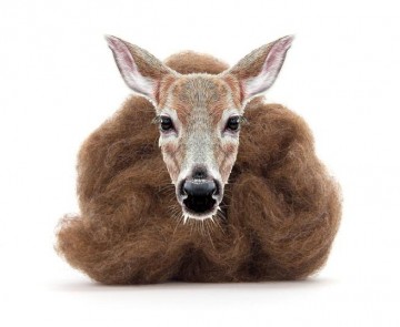 Gekleurde kaardvlies Deer/Hert