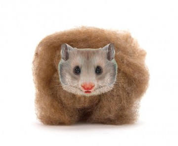 Gekleurde kaardvlies Mouse/Muis