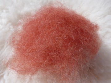 Gekaarde bergschaap in de kleur Terra