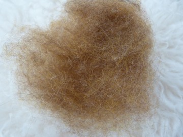 Gekaarde bergschaap in de kleur  Licht Bruin.