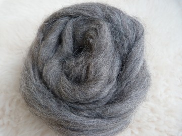 Donker grijze Ijslandse lontwol