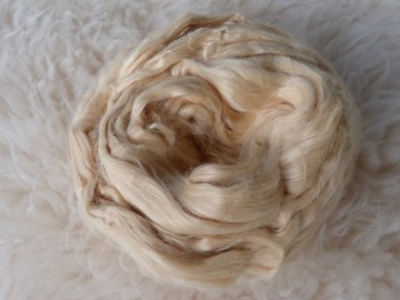 Plantaardige soja in lont