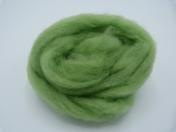 Gekleurde kaardvlies Corriedale in lont getrokken licht-groen