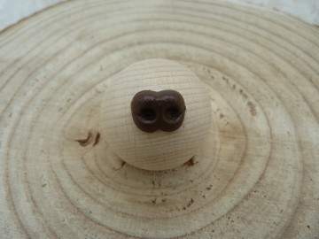 Bruine dierenneuzen in 10/12 of 15 mm