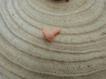 Roze dierenneuzen in 12 mm