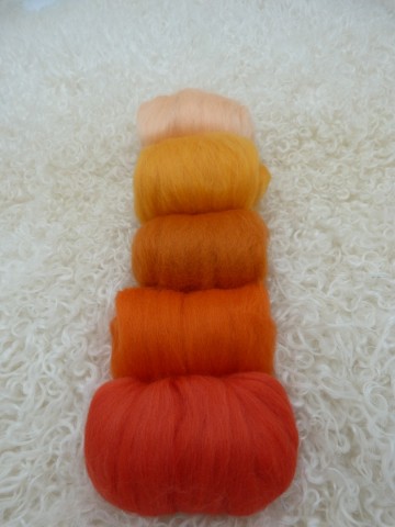 Merino lontwol 19 micron kleurenset 3Merino lontwol 19 micron kleurenset 3