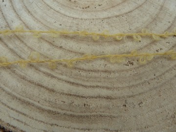 Honingkleurig  Poppenhaar