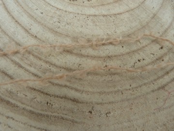 Pinda bruin kleurig  Poppenhaar