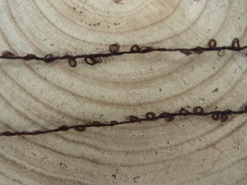 Koffiebruin kleurig  Poppenhaar