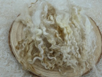 Gewassen Masham krullen/lokken