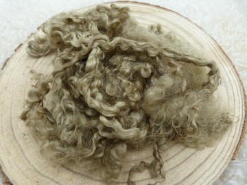 Taupe gekleurde Wensleydale krullen