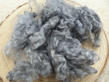 grijze Wensleydale krullen