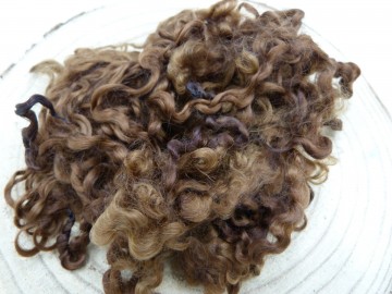 Bruine Wensleydale krullen