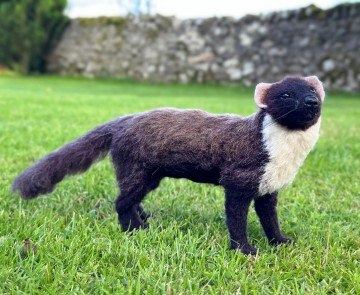 Naaldvilt-pakket Boommarter