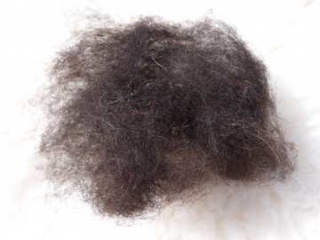 Gekaarde bergschaap zwart