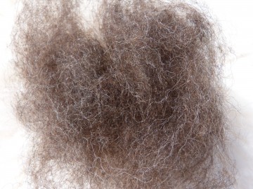 Gekaarde bergschaap Grijs-Bruin