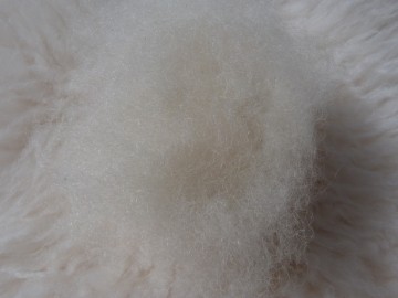Gekaarde bergschaap Wit Naturel