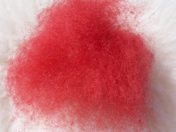 Tiroler bergschaap Rood