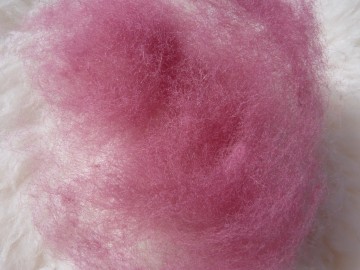 Gekaarde bergschaap in de kleur Oud Roze