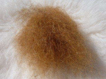 Gekaarde bergschaap in de kleur  cognac