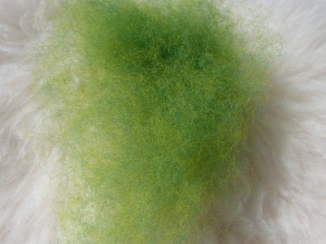 Gekaarde bergschaap in de kleur Licht Groen