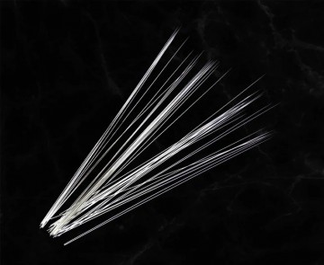 Snorhaar transparant