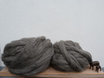 Lontwol van het Gotlandschaap