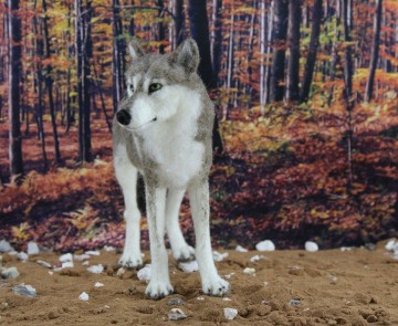 naaldvilt pakket wolf